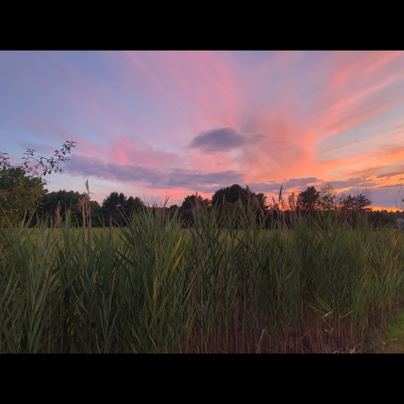 Meet your Posher, Laura - Picture 14 of 16